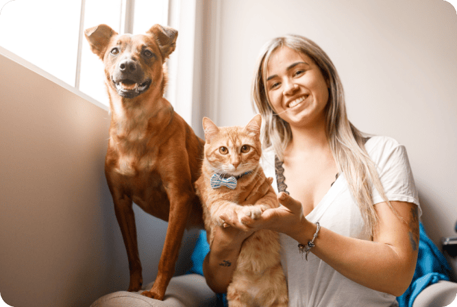 petsitter_preview